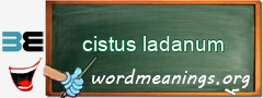 WordMeaning blackboard for cistus ladanum